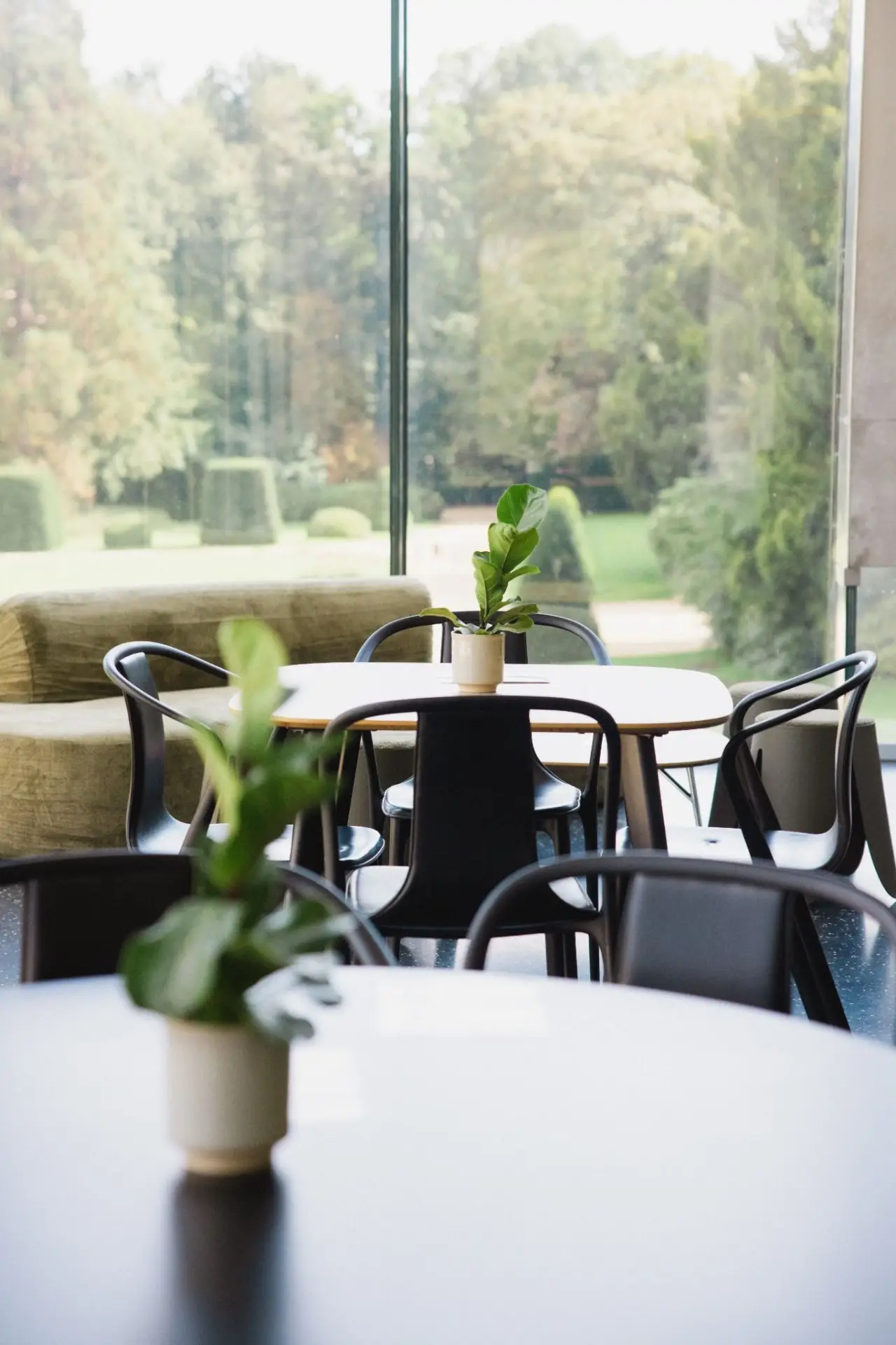 Lichtrijke zaal van Africafé met houten tafels en hoge boogramen